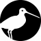 logo bird solo